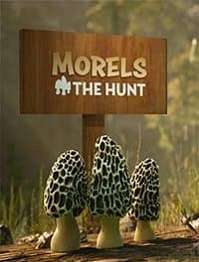 Morels The Hunt Spring