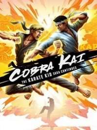 Cobra Kai The Karate Kid Saga Continues