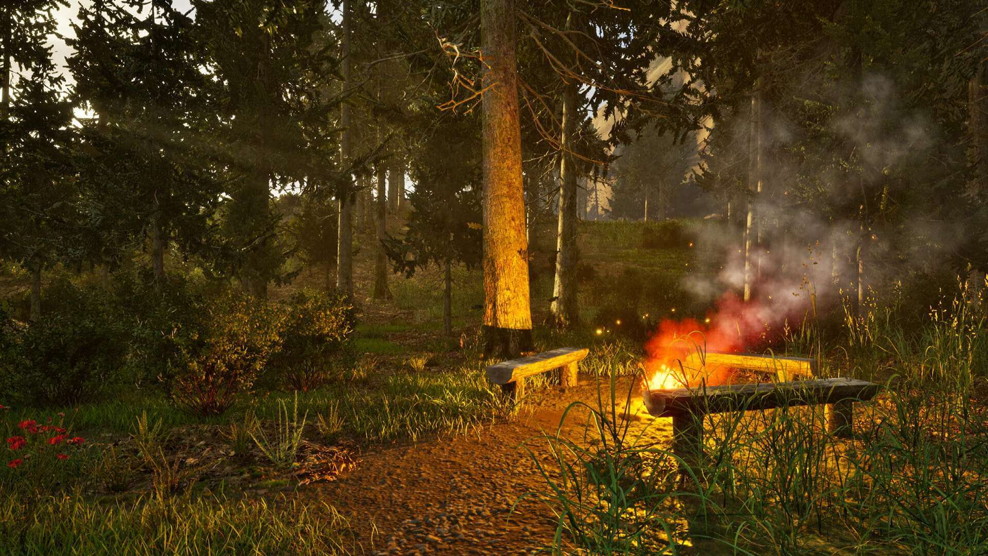 Park Ranger Simulator скачать от Торрент Игрухи